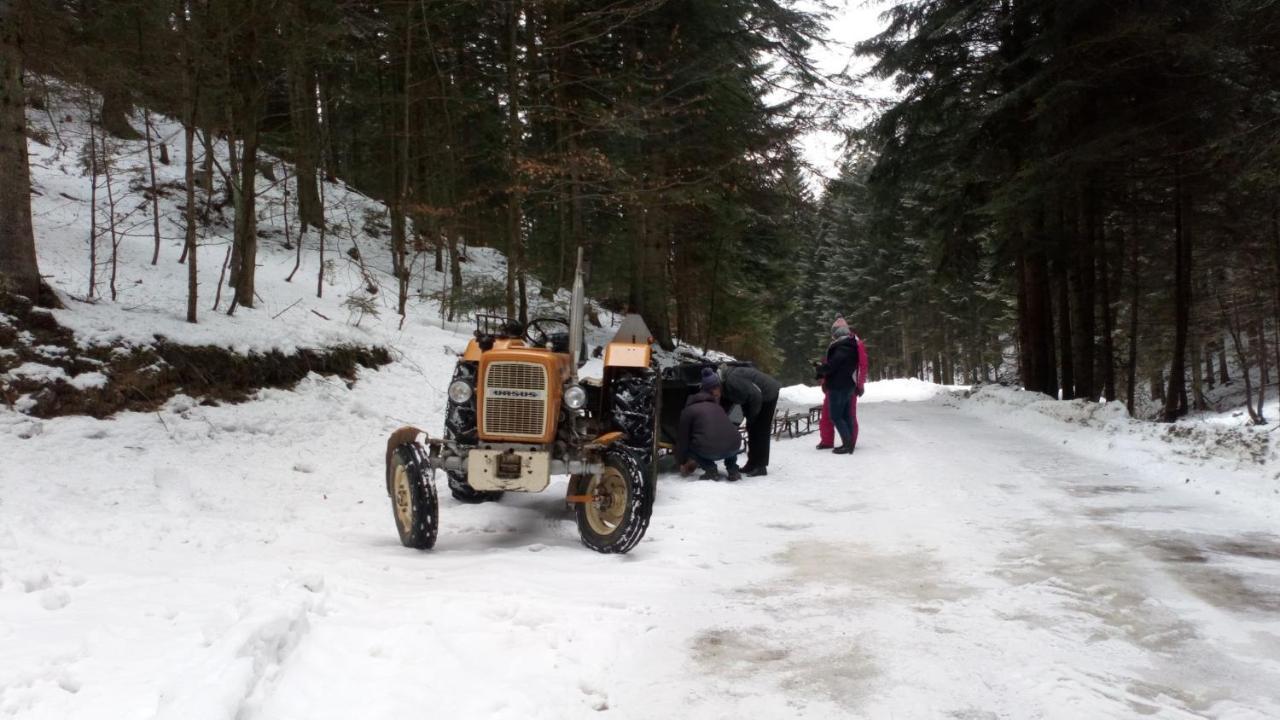 Agroturystyka Elzbieta I Juliusz มูเชนา ภายนอก รูปภาพ